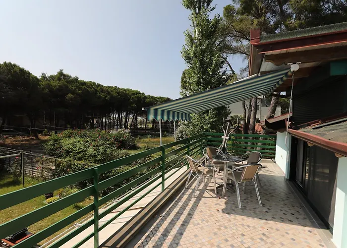 By Elmar At Sunset Bay